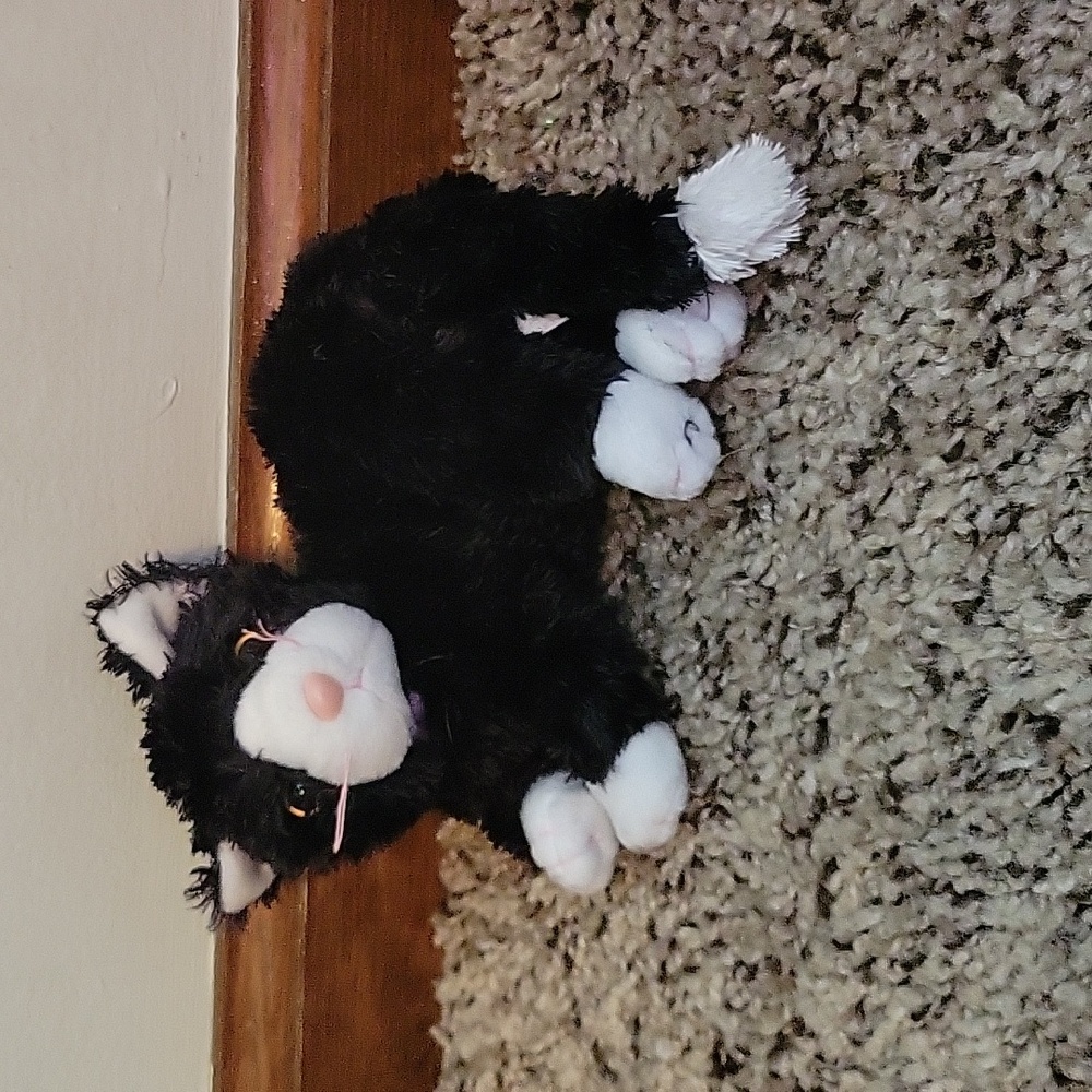 TY Beanie Baby "Booties" - Picture 1 of 3